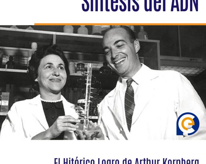 En 1967, Arthur Kornberg y su colega anunciaron la primera síntesis exitosa del ADN