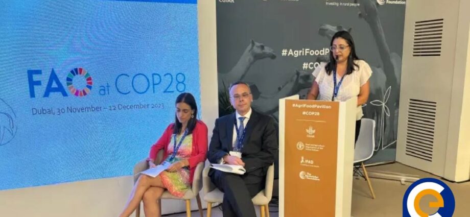 FAO en COP28: La transformación de los sistemas agroalimentarios es clave para la acción climática