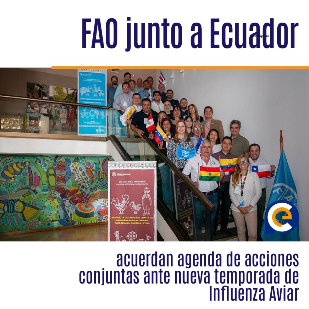 FAO junto a Ecuador y otros 9 países de la región acuerdan agenda de acciones conjuntas para minimizar el impacto ante nueva temporada de Influenza Aviar
