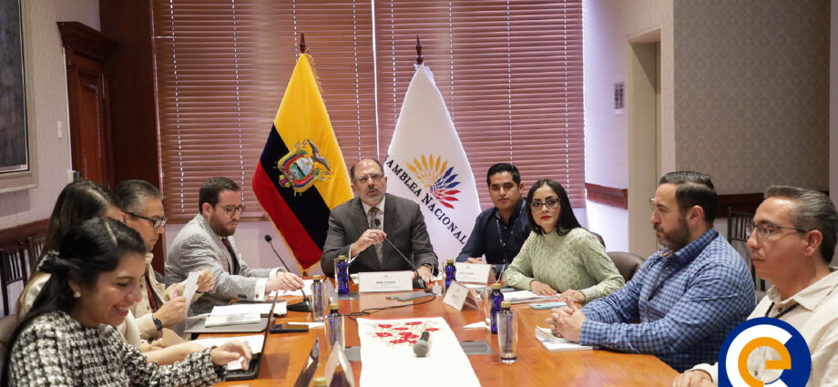 Proyecto de Ley Orgánica de Competitividad Energética Recibe Luz Verde del CAL