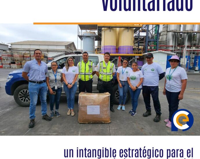 Voluntariado corporativo: un intangible estratégico para el crecimiento empresarial
