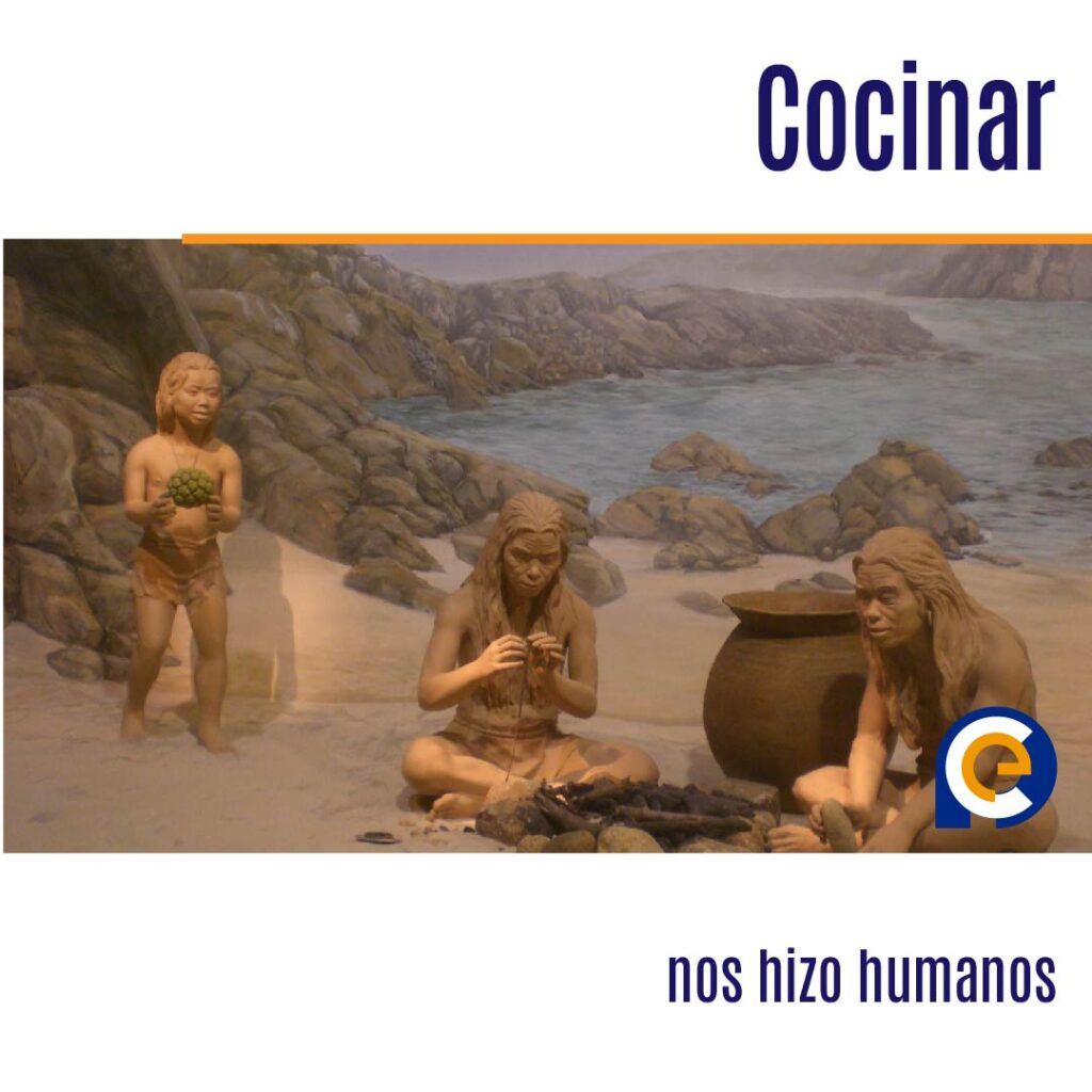 Cocinar nos hizo humanos