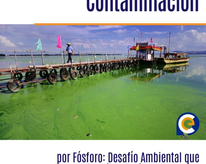 Contaminación por Fósforo: Desafío Ambiental que Requiere Acciones Urgentes