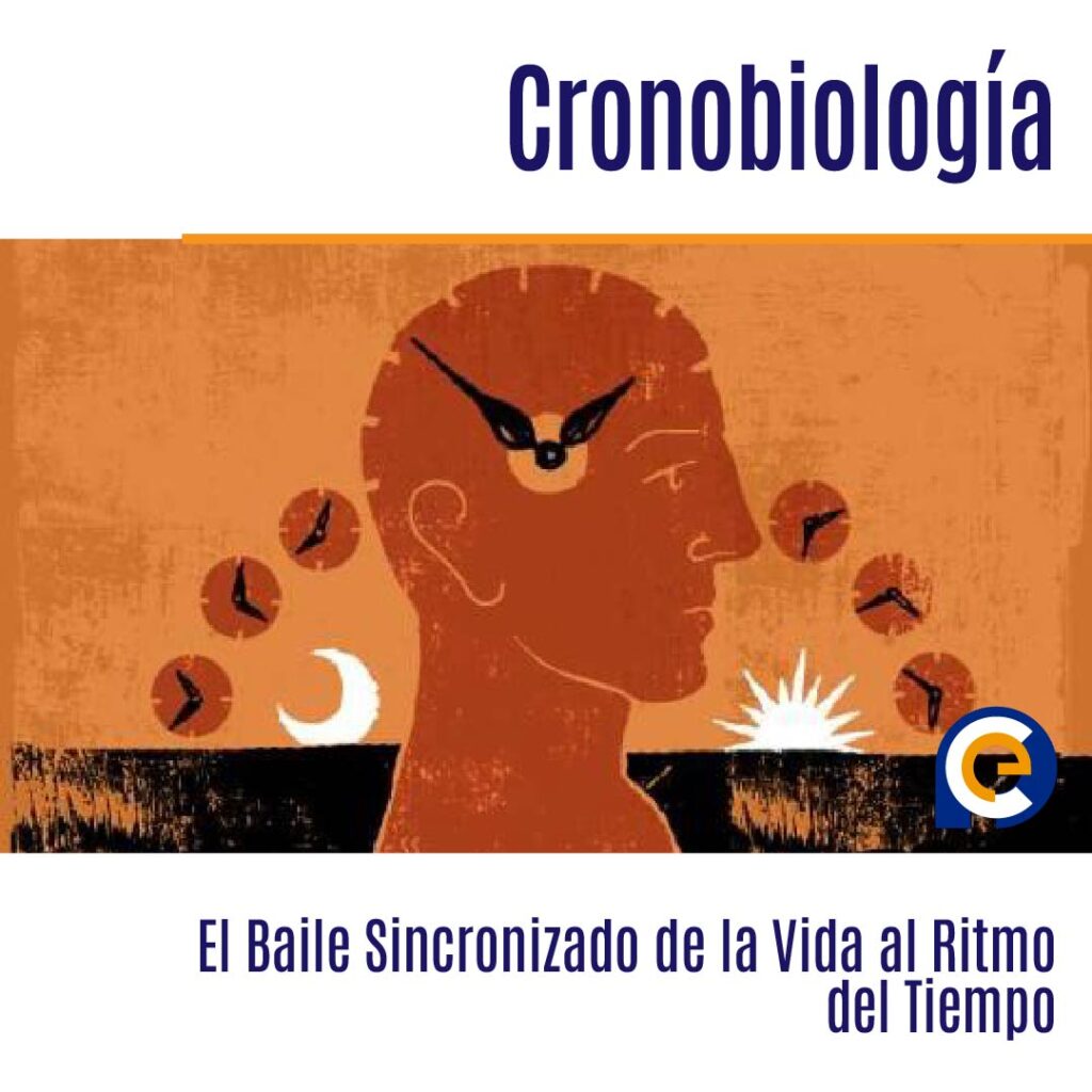 Cronobiología: El Baile Sincronizado de la Vida al Ritmo del Tiempo