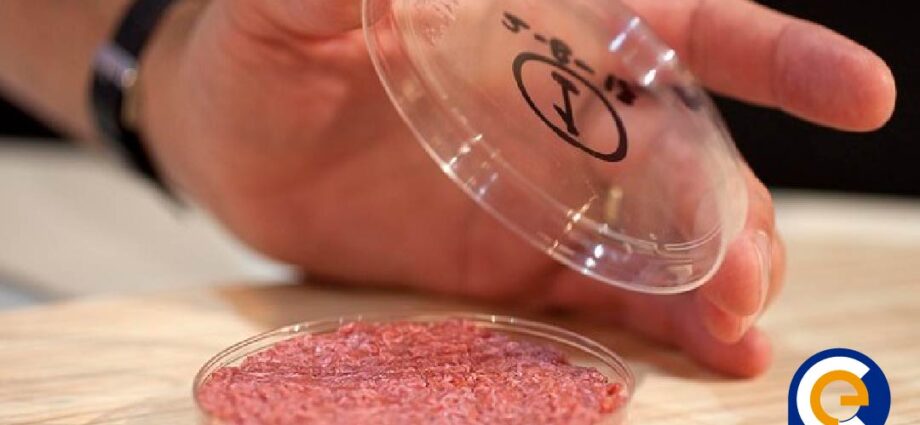 El Futuro de la Proteína Animal: La Revolución de la Carne de Laboratorio