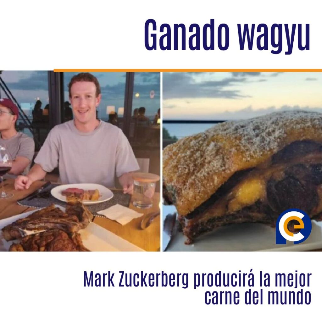 Mark Zuckerberg producirá la mejor carne del mundo, con ganado wagyu que será alimentado con cerveza