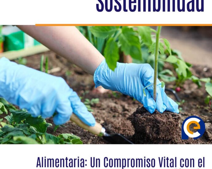 Sostenibilidad Alimentaria: Un Compromiso Vital con el Planeta