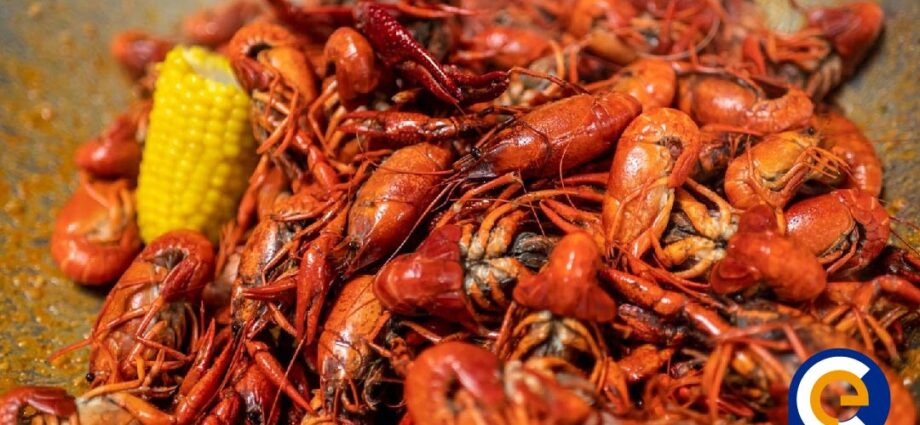 El cambio climático golpea la gastronomía y economía del sur de EE. UU. a través los cangrejos de río