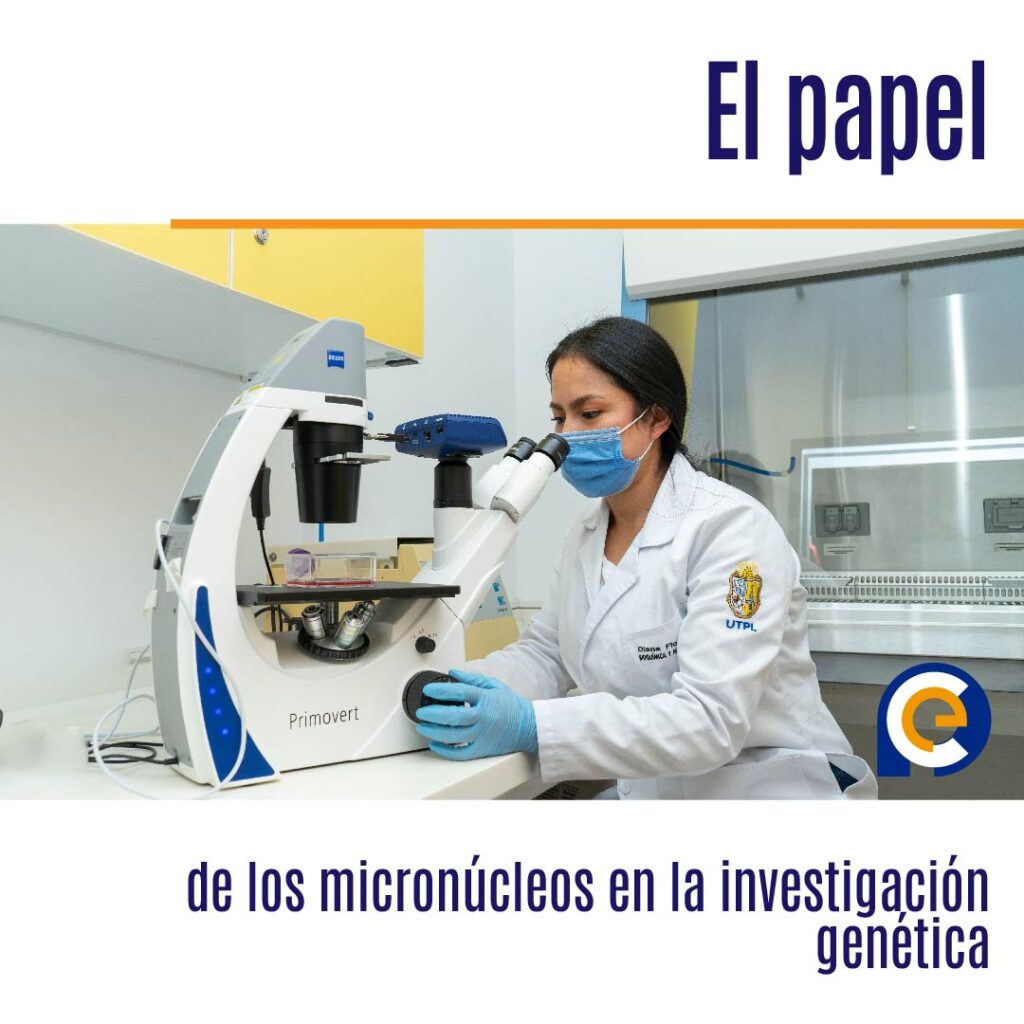 El papel de los micronúcleos en la investigación genética