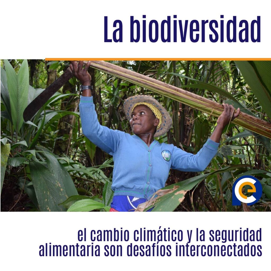 La biodiversidad, el cambio climático y la seguridad alimentaria son desafíos interconectados