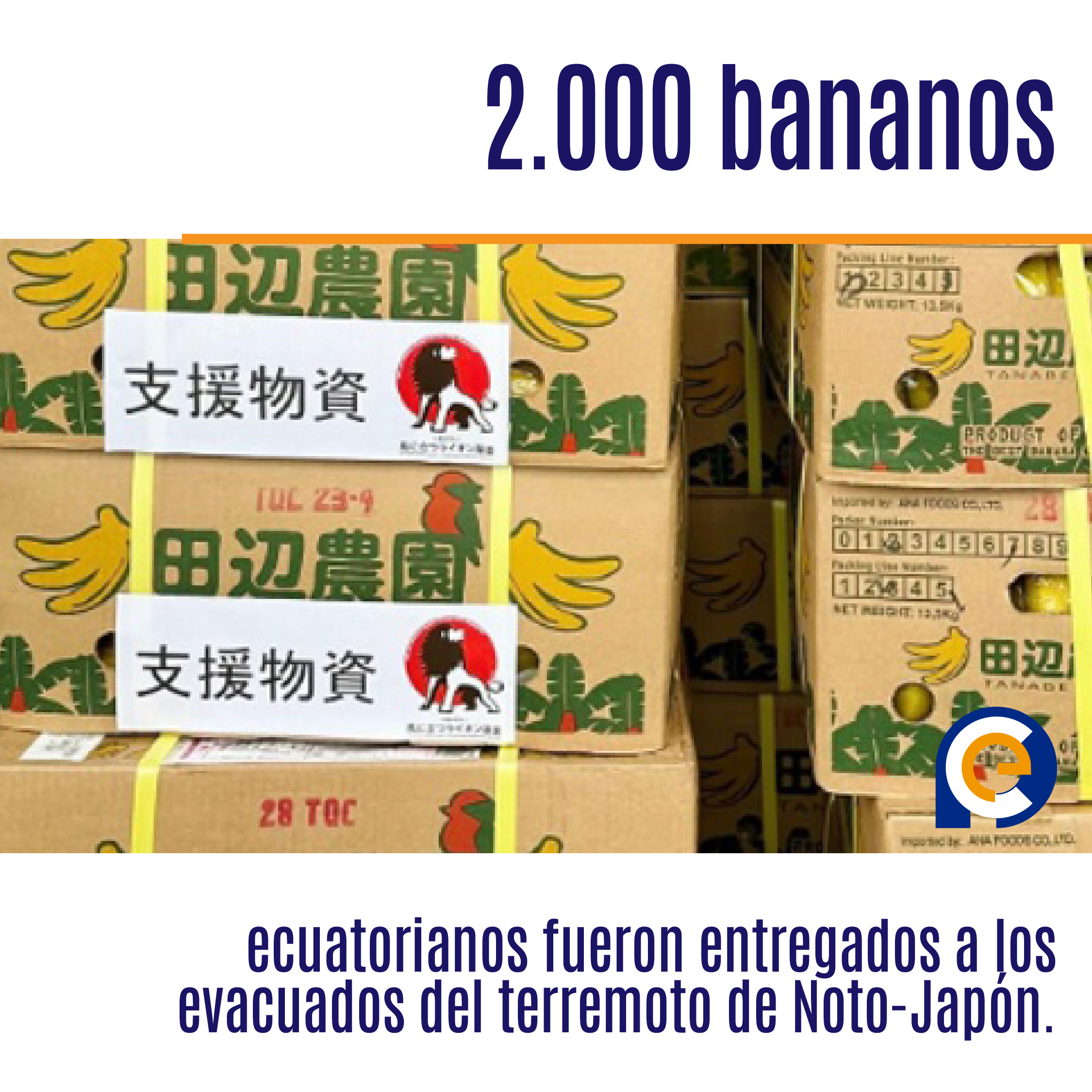 2.000 bananos ecuatorianos fueron entregados a los evacuados del terremoto de Noto-Japón.