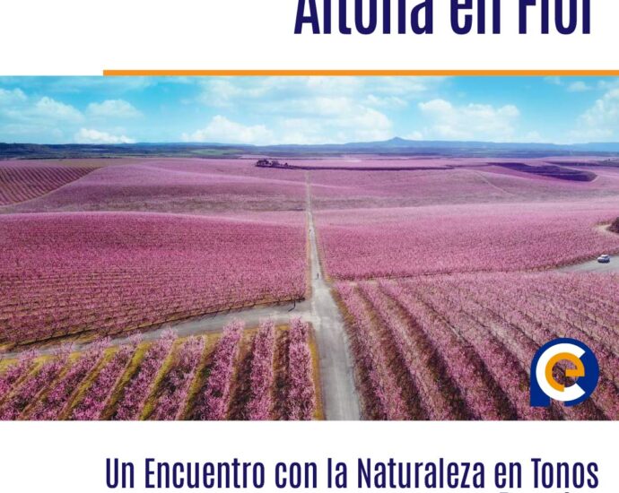 Aitona en Flor (2024): Un Encuentro con la Naturaleza en Tonos Rosados