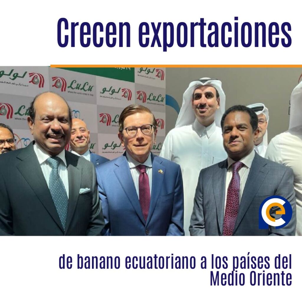 Crecen exportaciones de banano ecuatoriano a los países del Medio Oriente