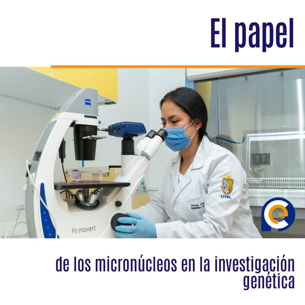 El papel de los micronúcleos en la investigación genética