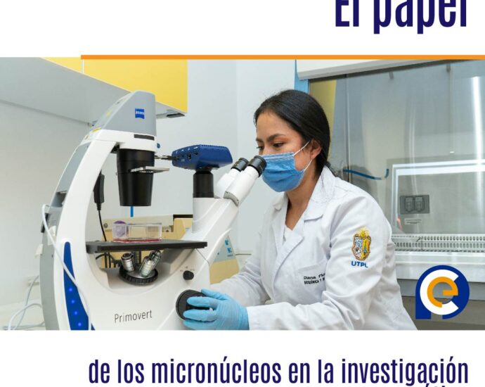 El papel de los micronúcleos en la investigación genética