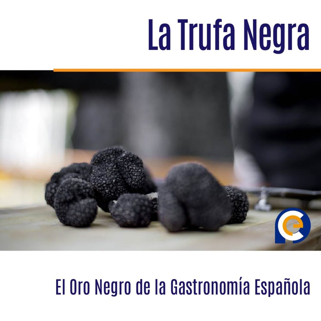 La Trufa Negra: El Oro Negro de la Gastronomía Española