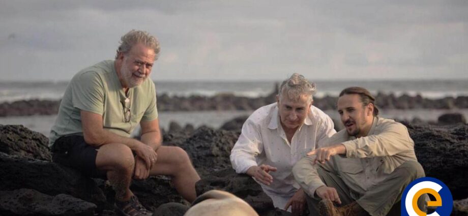 Lions of the sea