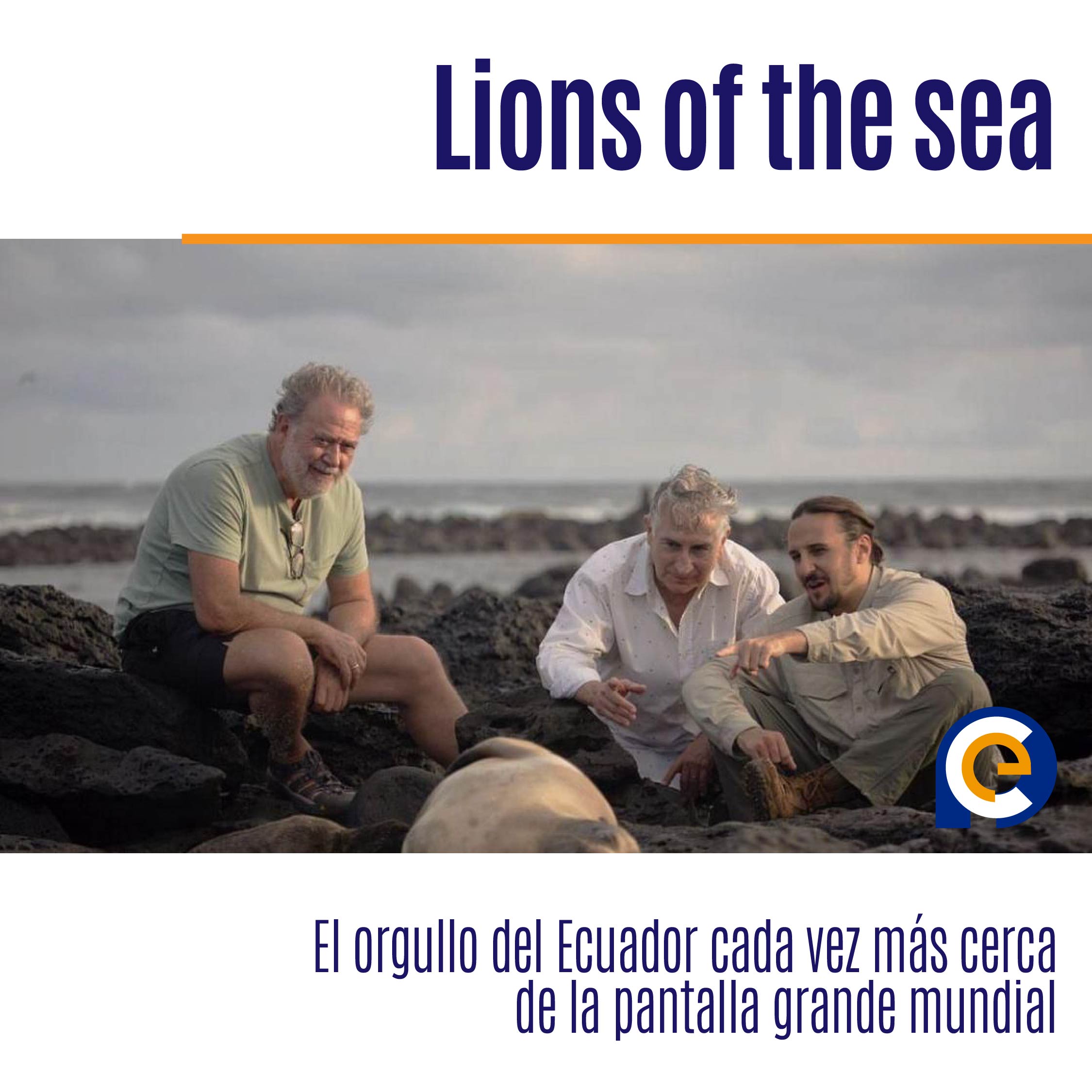 Lions of the sea