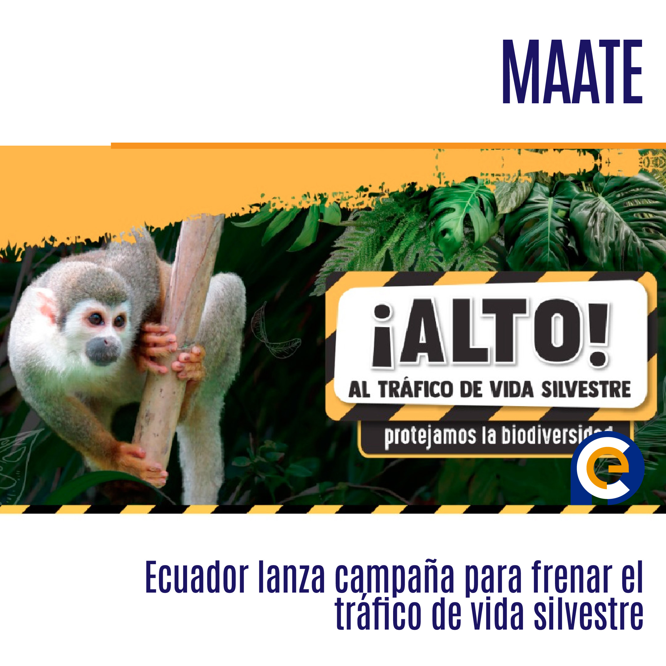MAATE