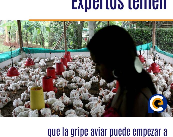 Expertos temen que la gripe aviar puede empezar a extenderse de persona a persona