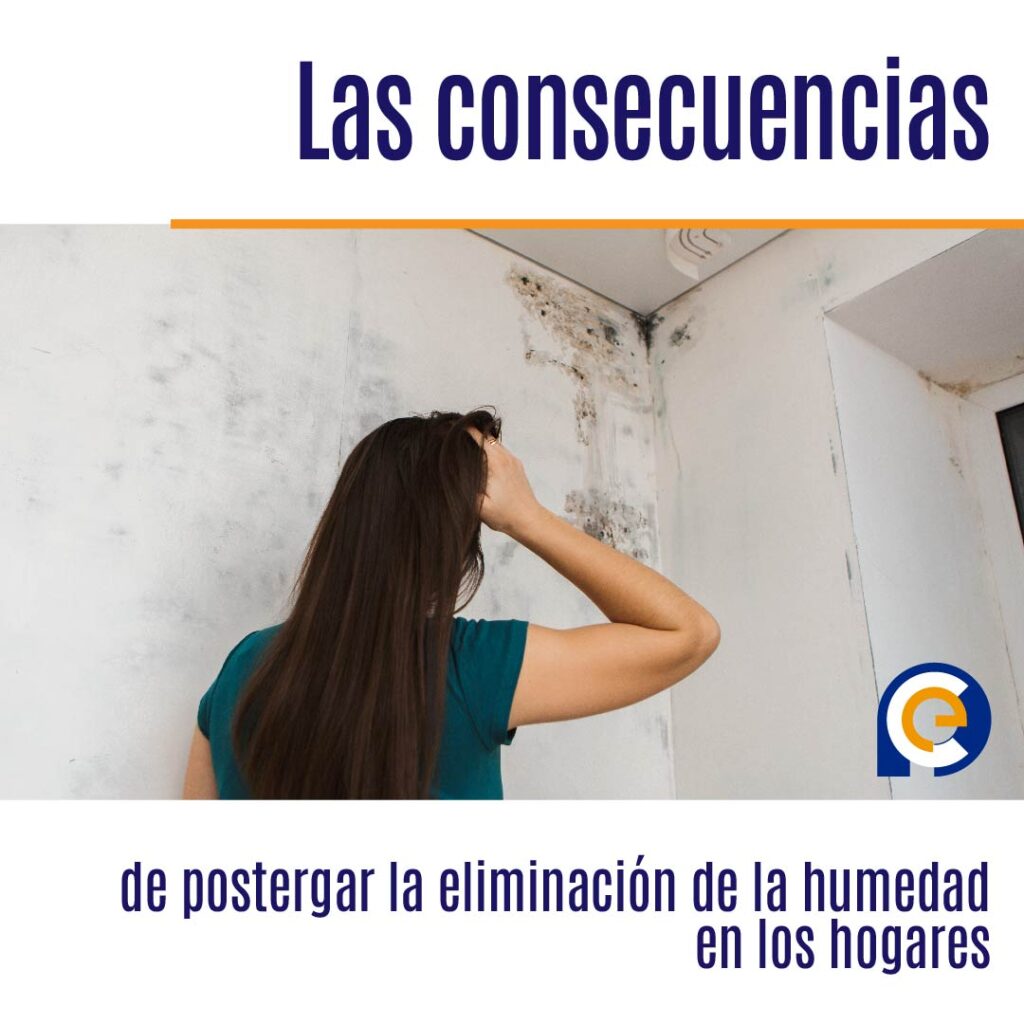 Las consecuencias de postergar la eliminación de la humedad en los hogares