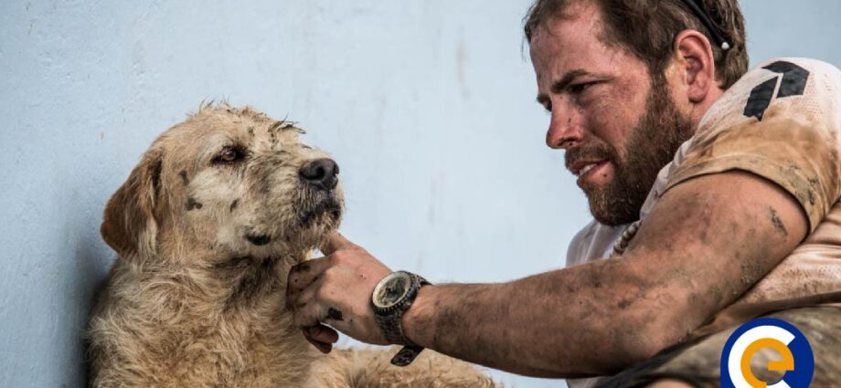 Pro-can y Fundación Arthur unen esfuerzos en favor de los animales callejeros de Ecuador