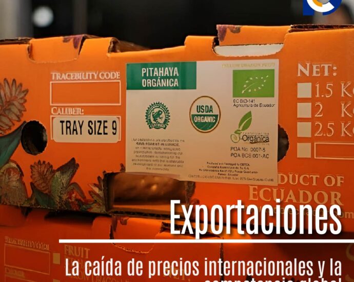 Desafíos para las Exportaciones Ecuatorianas en 2024: Un Panorama Incierto