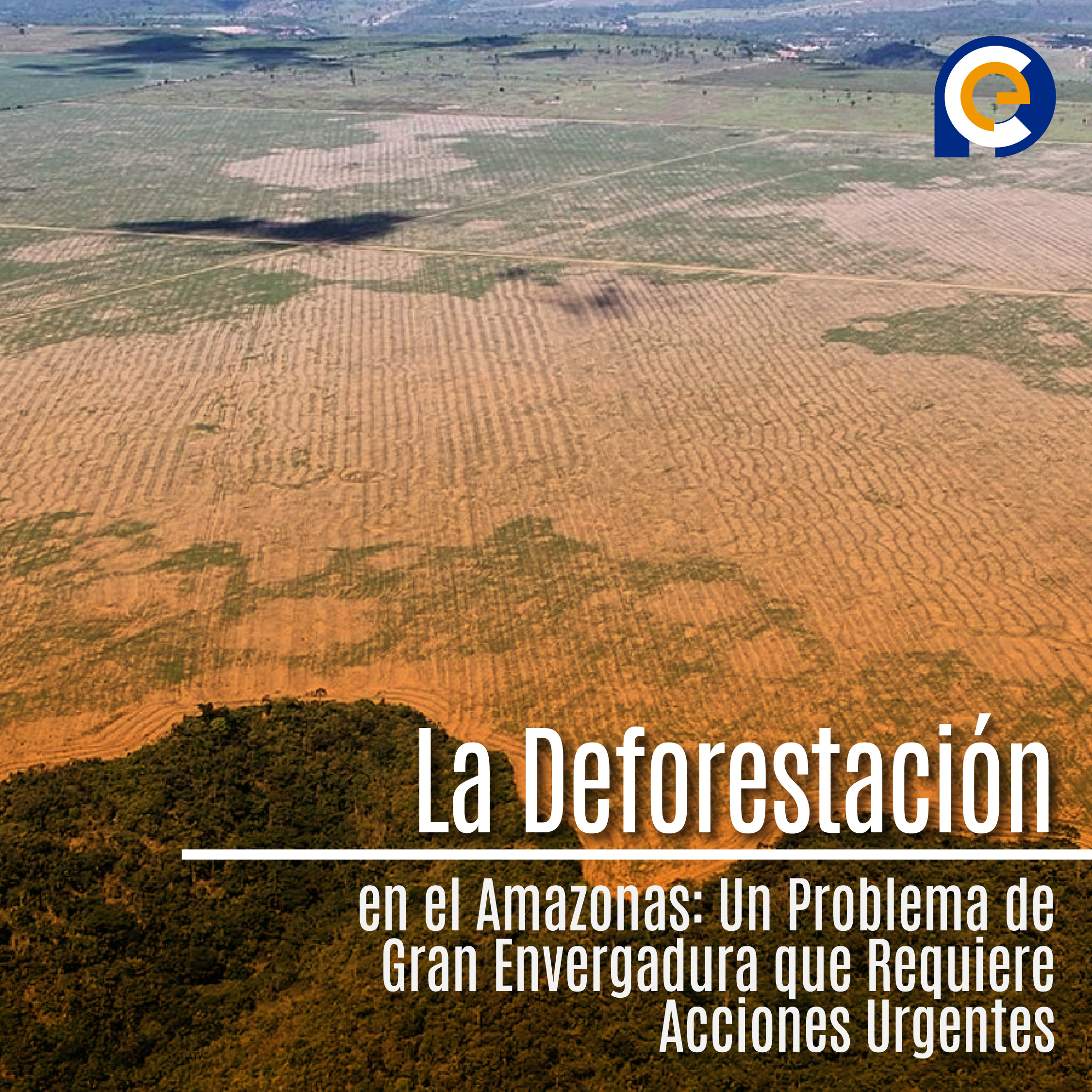 La Deforestación en el Amazonas
