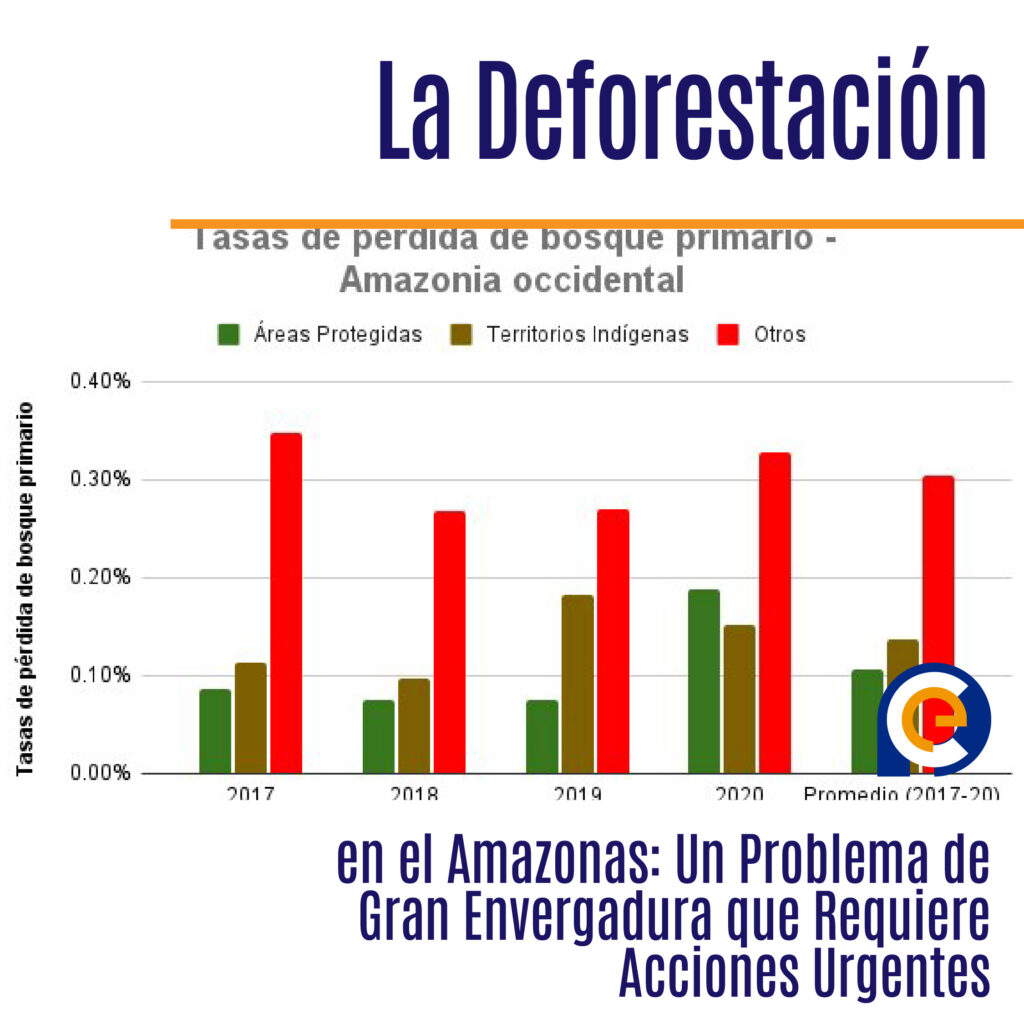 La Deforestación en el Amazonas