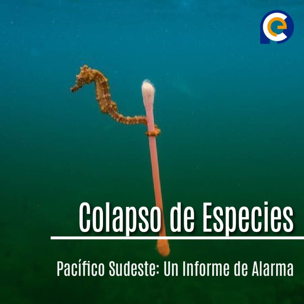 Colapso de Especies Marinas en el Pacífico Sudeste: Un Informe de Alarma sobre el Impacto del Cambio Climático