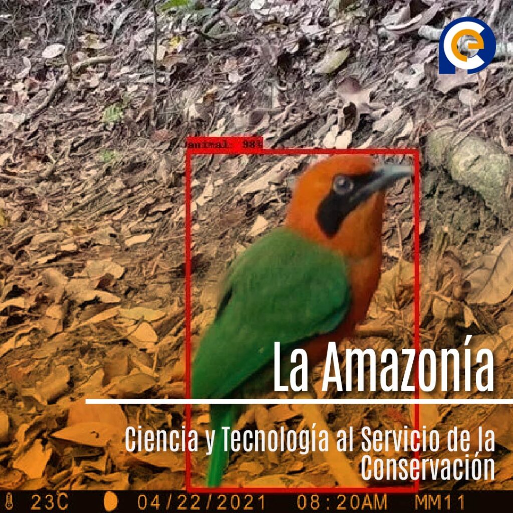 La Amazonía: Ciencia y Tecnología al Servicio de la Conservación