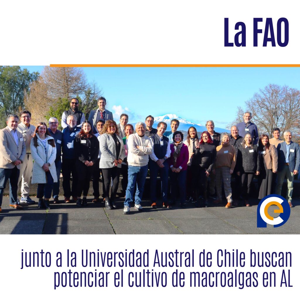 La FAO