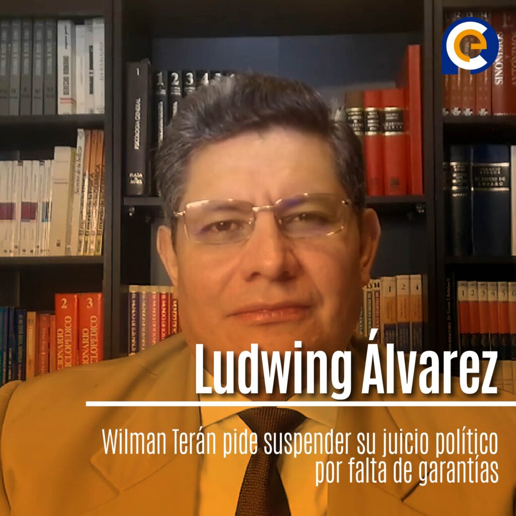 Ludwing Álvarez Rengifo, CEO de Provisa