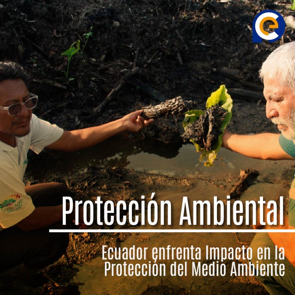 Violencia y Protección Ambiental en Ecuador: Un Escenario Crítico
