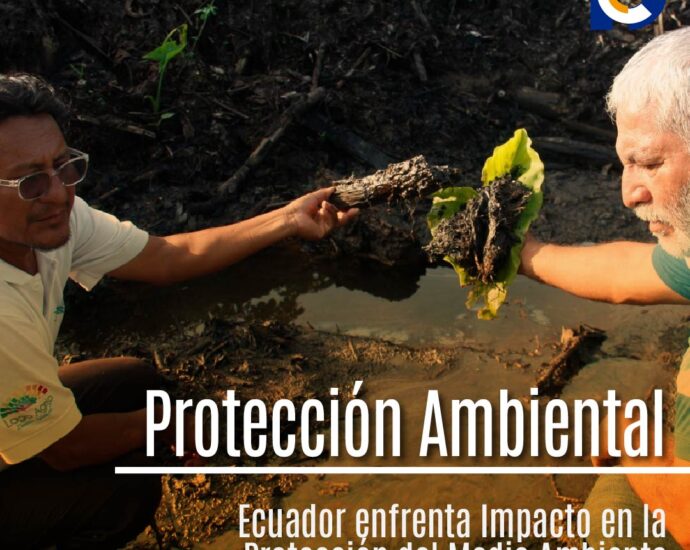 Violencia y Protección Ambiental en Ecuador: Un Escenario Crítico