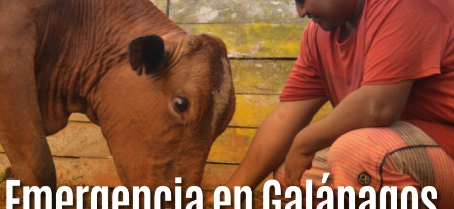 Emergencia en Galápagos