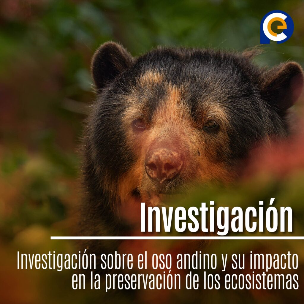 Investigación sobre el oso andino y su impacto en la preservación de los ecosistemas