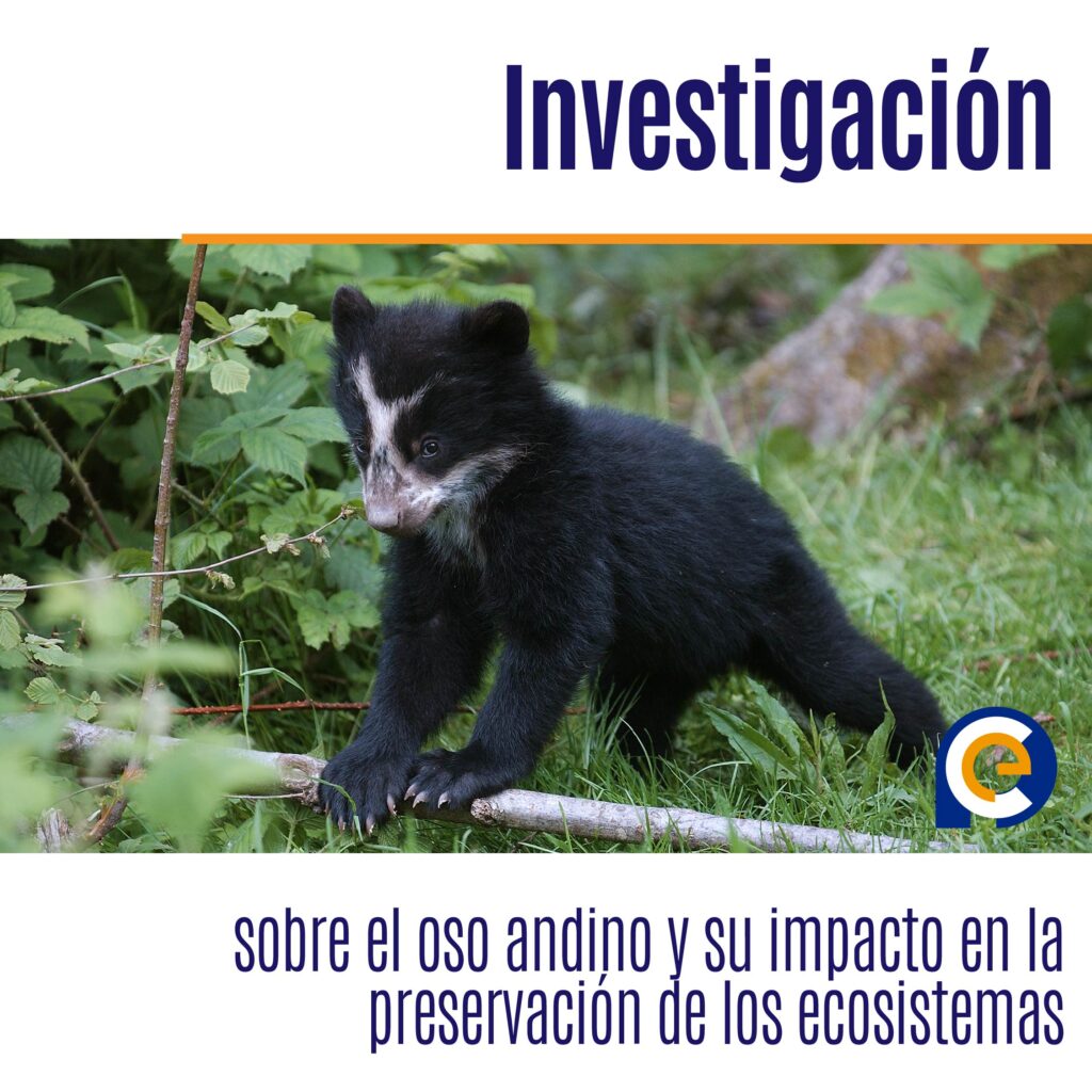 Investigación sobre el oso andino y su impacto en la preservación de los ecosistemas