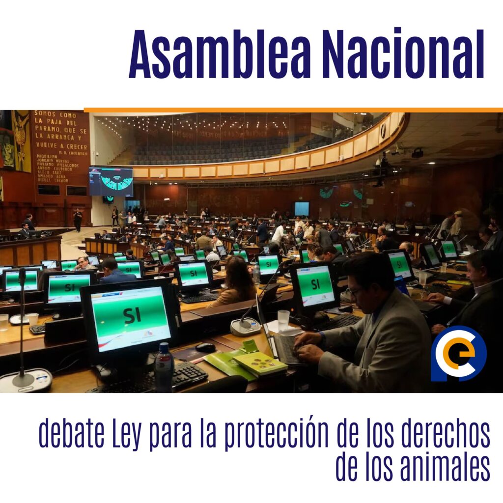 Asamblea Nacional debate Ley para la protección de los derechos de los animales