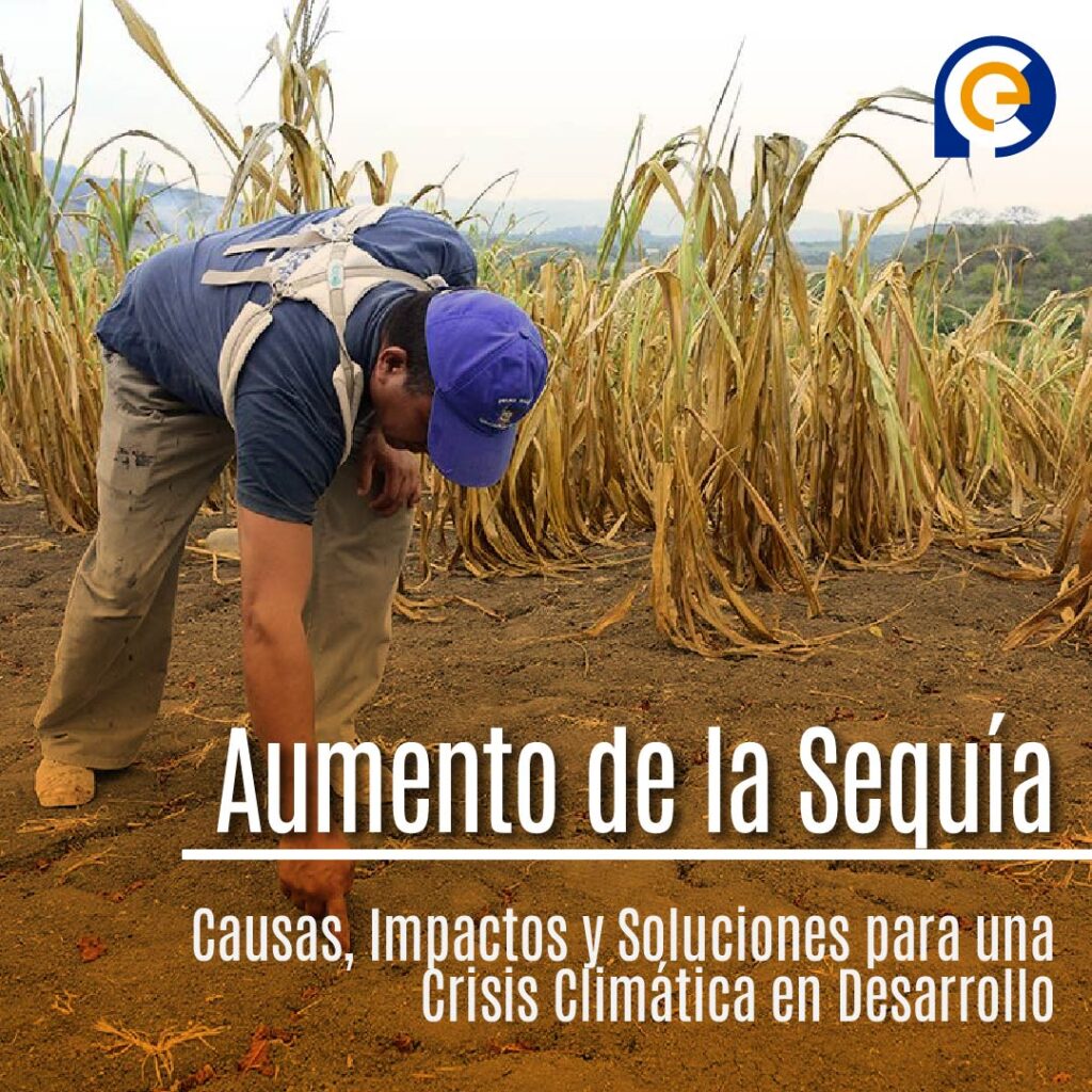 Aumento de la Sequía en Ecuador: Un Análisis Exhaustivo