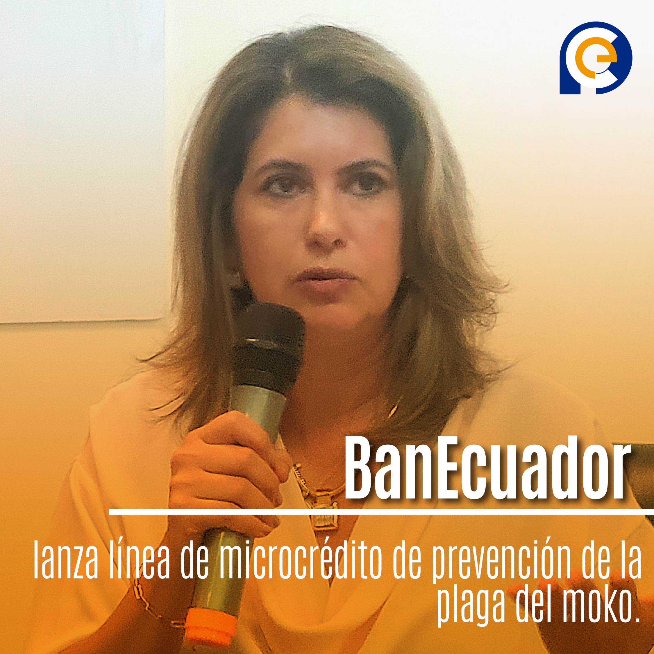 BanEcuador lanza línea de microcrédito de prevención de la plaga del moko.