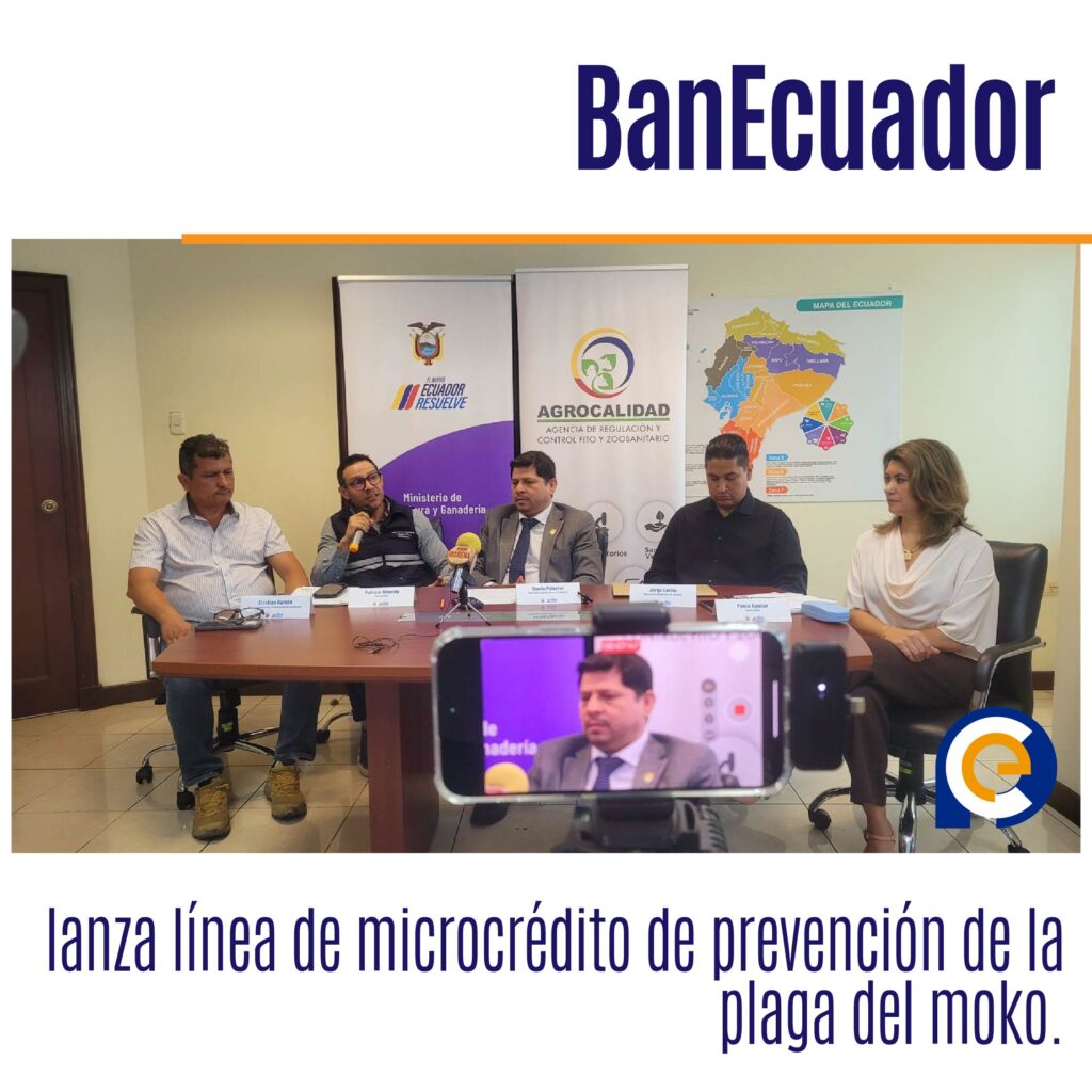BanEcuador lanza línea de microcrédito de prevención de la plaga del moko.