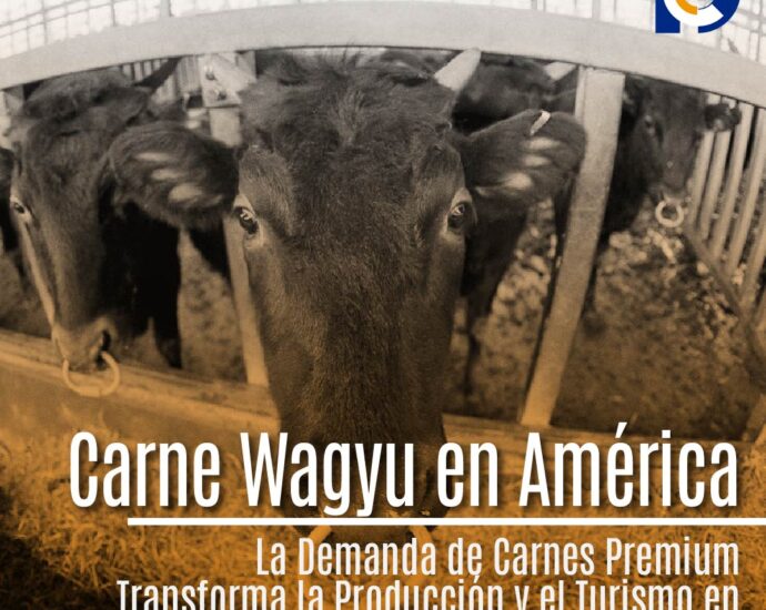 El Impulso de la Carne Wagyu en América Latina: Crecimiento, Innovaciones y Desafíos