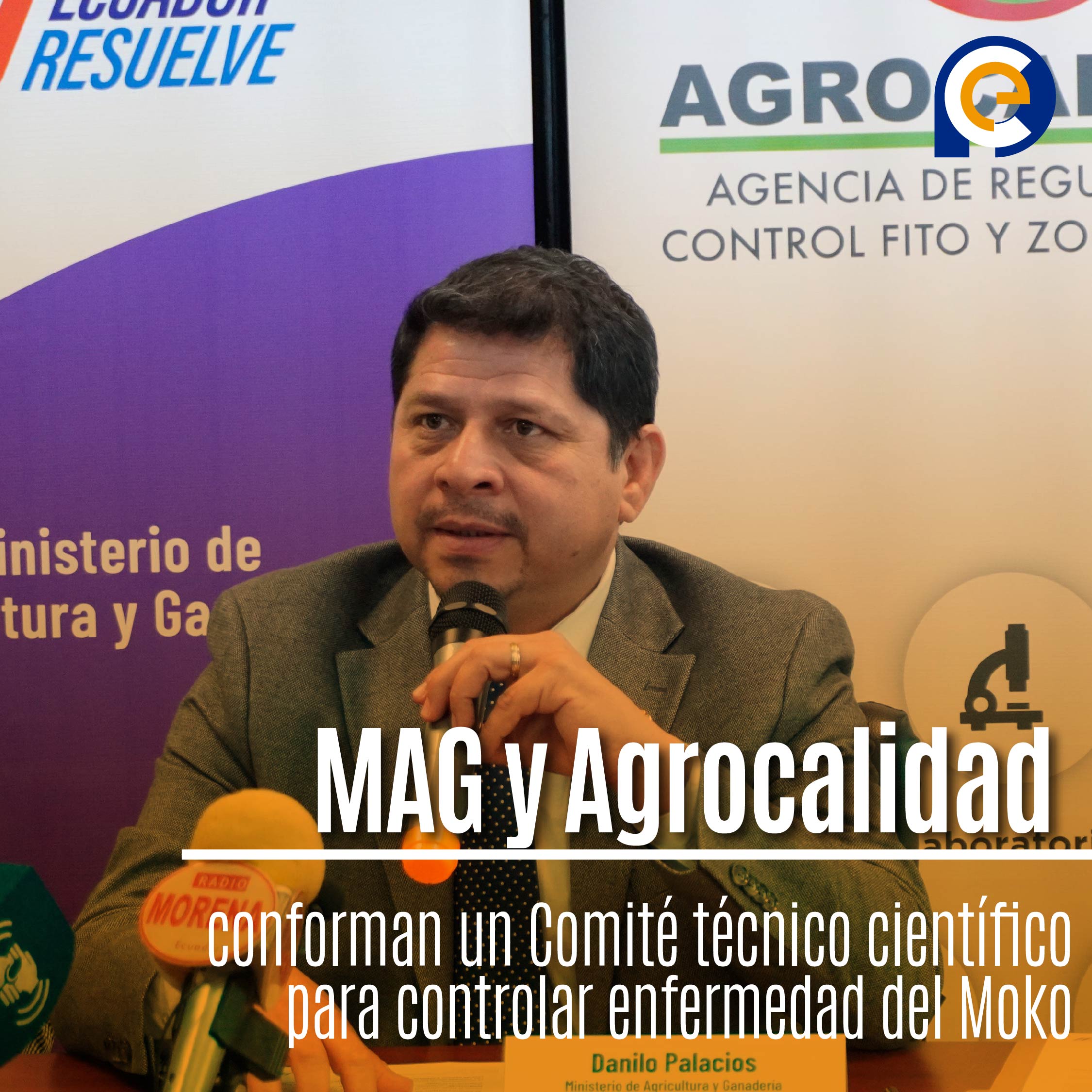 MAG y Agrocalidad conforman un Comité técnico científico para controlar enfermedad del Moko