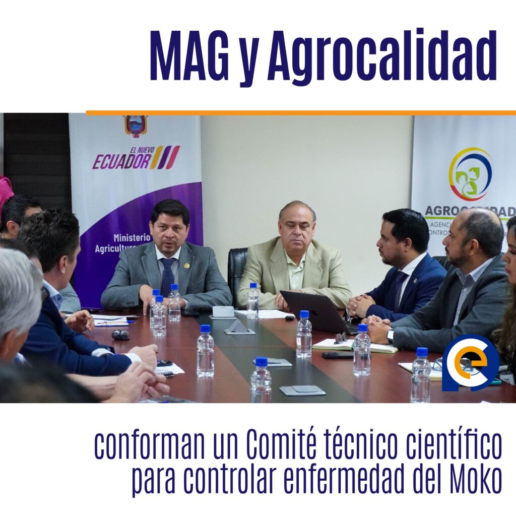 Copywriting para Facebook: 🌱 El MAG y Agrocalidad se unen para frenar el Moko en las plantaciones de banano y plátano. Conoce más sobre esta iniciativa en prensa.ec 🍌 #somosnoticia @PrensaEc1 #AgriculturaEcuador #ControlDePlagas Copywriting para Instagram: 🌿 La lucha contra el Moko continúa. El MAG y Agrocalidad han formado un Comité Técnico para proteger nuestras plantaciones de banano y plátano 🍌. Más detalles en prensa.ec 🌱 #somosnoticia @PrensaEc1 #ControlDePlagas #Agricultura Copywriting para Twitter: 🌿 MAG y Agrocalidad forman Comité para controlar el Moko en banano y plátano. Detalles en prensa.ec 🍌 #somosnoticia @PrensaEc1 #ControlDePlagas #Agricultura
