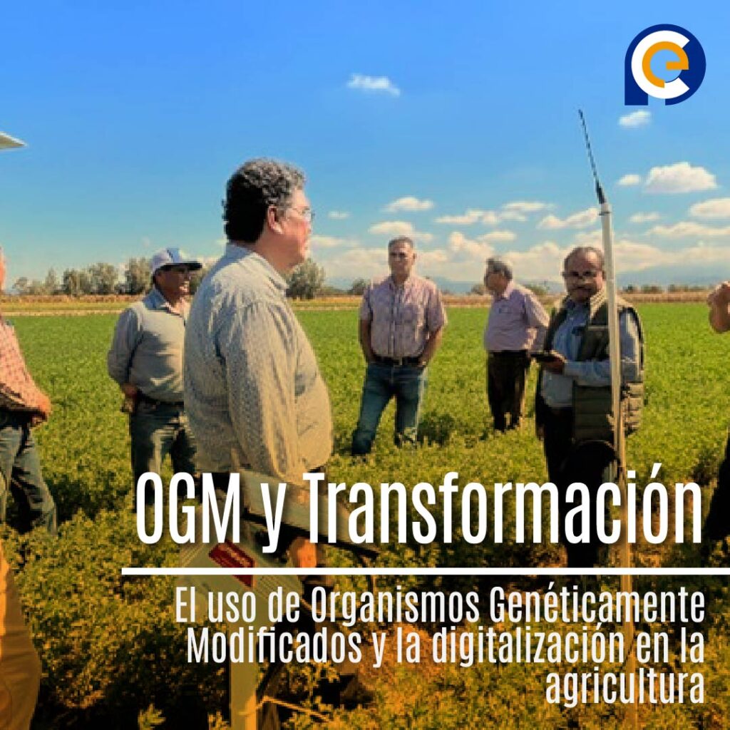 OGM y Transformación Digital: Claves para la Agricultura Sostenible en América Latina