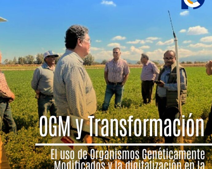 OGM y Transformación Digital: Claves para la Agricultura Sostenible en América Latina