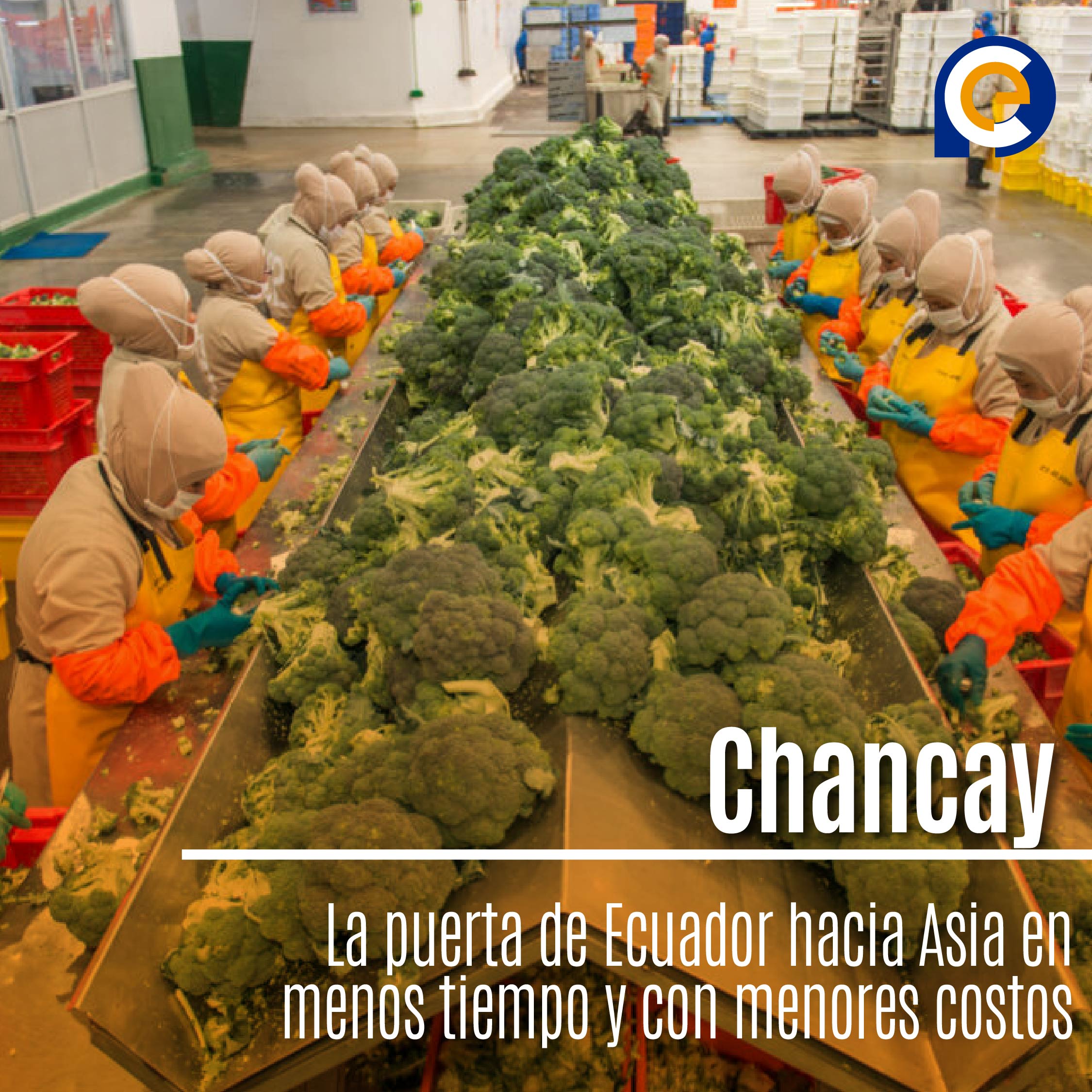 Chancay: La puerta de Ecuador hacia Asia en menos tiempo y con menores costos