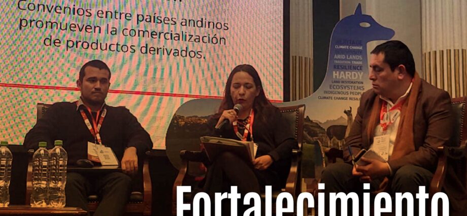 Fortalecimiento del sector camélido: un pilar para el desarrollo sostenible en Ecuador