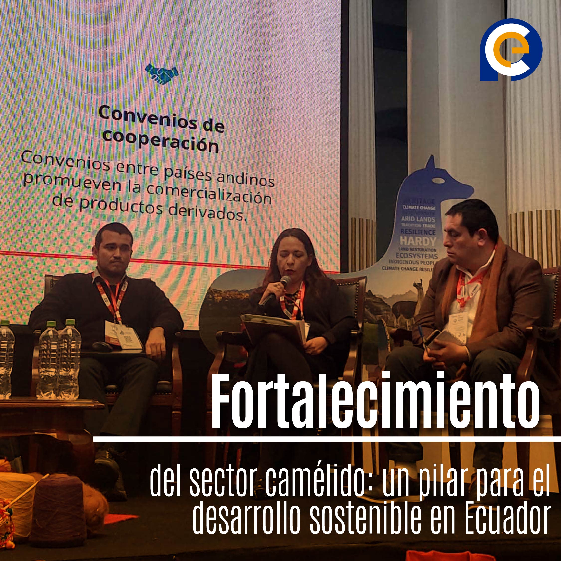 Fortalecimiento del sector camélido: un pilar para el desarrollo sostenible en Ecuador